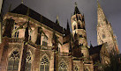 Freiburg Cathedral