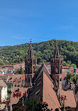 Freiburg Cathedral