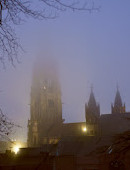 Freiburg Cathedral