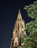 Freiburg Cathedral