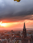 Freiburg Cathedral