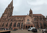 Freiburg Cathedral