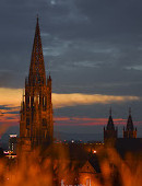 Freiburg Cathedral