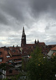 Freiburg Cathedral