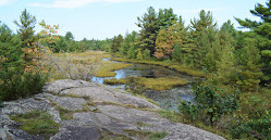 Six Mile Lake Provincial Park