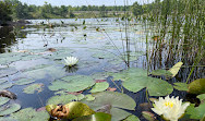 Six Mile Lake Provincial Park