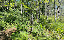 Six Mile Lake Provincial Park