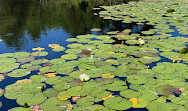 Six Mile Lake Provincial Park