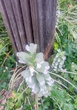 Alpine Botanical Garden of Meyrin