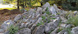 Alpine Botanical Garden of Meyrin