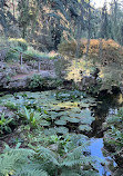 Jardín Botánico Alpino de Meyrin