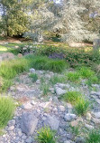 Alpine Botanical Garden of Meyrin