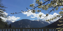 Giardino Botanico alpino Flore-Alpe