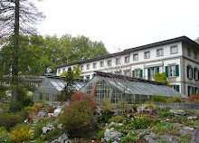 Ботанический сад Университет Берн
