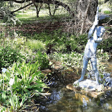 Jardin botanique de l'Université de Berne