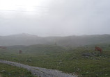 Little St Bernard Pass