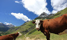 Col de l'Iseran