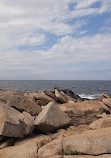 Halibut Point State Park