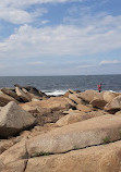 Halibut Point State Park