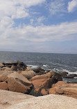 Halibut Point State Park