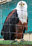 Calderglen Country Park and Zoo