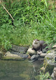 Calderglen Country Park and Zoo