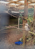 Calderglen Country Park and Zoo