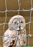 Calderglen Country Park and Zoo