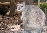 Calderglen Country Park and Zoo