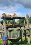 Calderglen Country Park and Zoo