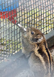 Calderglen Country Park and Zoo