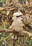 Calderglen Country Park and Zoo