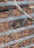 Calderglen Country Park and Zoo