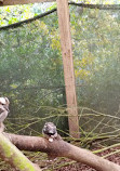 Calderglen Country Park and Zoo