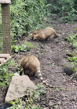 Calderglen Country Park and Zoo