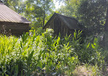 Botanic Garden at Georgia Southern University