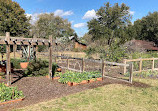 Botanic Garden at Georgia Southern University