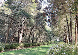 Botanic Garden at Georgia Southern University