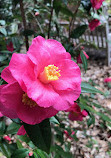 Botanic Garden at Georgia Southern University