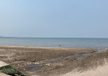 Wasaga Beach Provincial Park - Beach Area 1