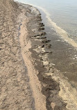 Wasaga Beach Provincial Park - Beach Area 1