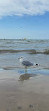 Wasaga Beach Provincial Park - Beach Area 1