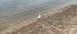 Wasaga Beach Provincial Park - Beach Area 1