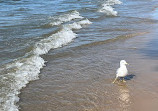 Wasaga Beach Provincial Park - Beach Area 1