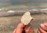 Wasaga Beach Provincial Park - Beach Area 1