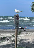 Wasaga Beach Provincial Park - Beach Area 5