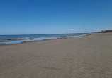 Wasaga Beach Provincial Park - Beach Area 5