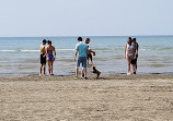 Wasaga Beach Provincial Park - Beach Area 5