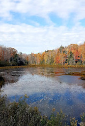 Muskoka Lakes