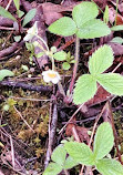 MacGregor Point Provincial Park